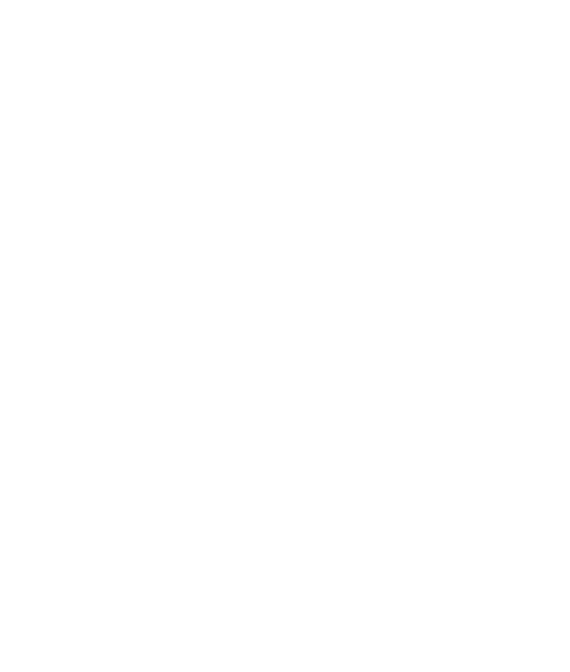 Logo Smart & Quick Services s.r.o